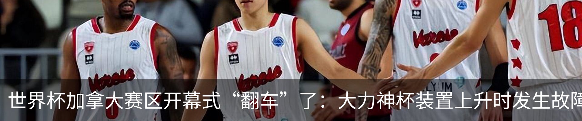 最新动态