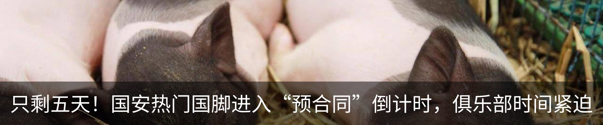 最新动态